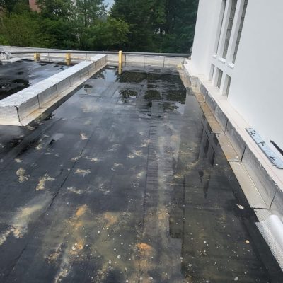 WhatsApp Image 2026-01-20 at 17.39.21 (3)