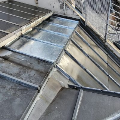 WhatsApp Image 2026-01-20 at 17.39.22 (11)