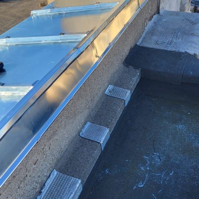 WhatsApp Image 2026-01-20 at 17.39.25 (9)